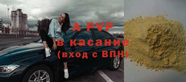 индика Инсар