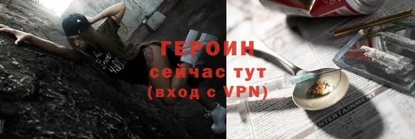 индика Инсар