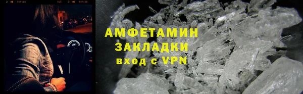 индика Инсар