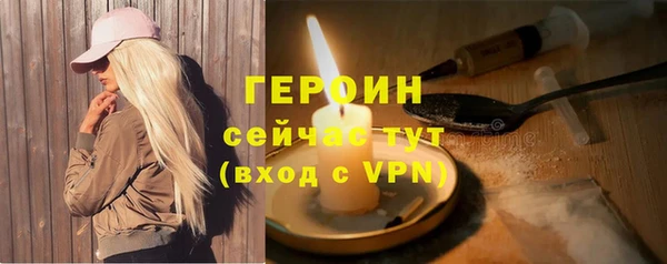 индика Инсар