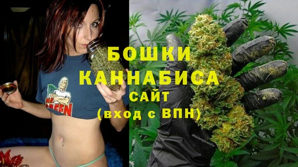 индика Инсар