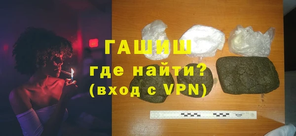 индика Инсар