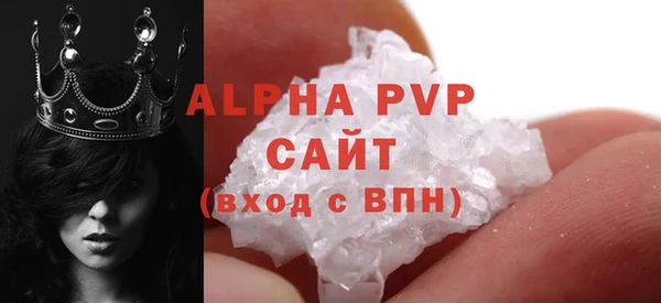 индика Инсар