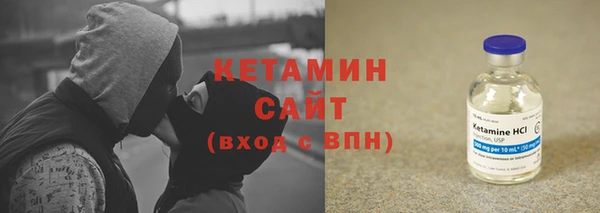 индика Инсар