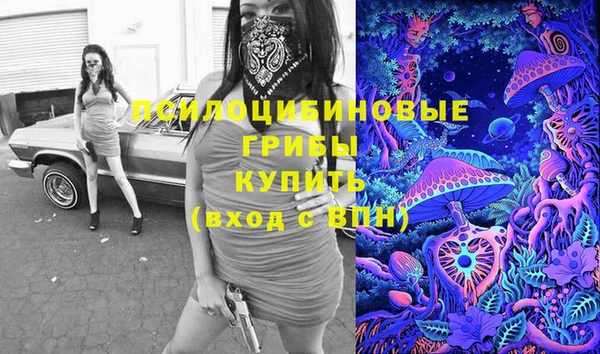 индика Инсар