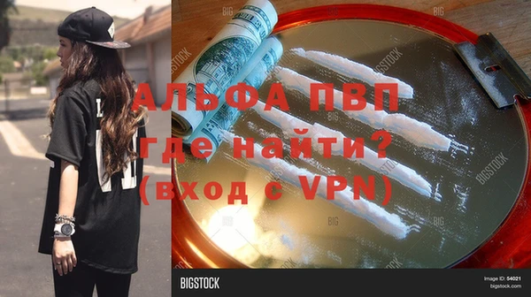 индика Инсар