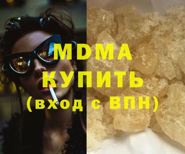 индика Инсар