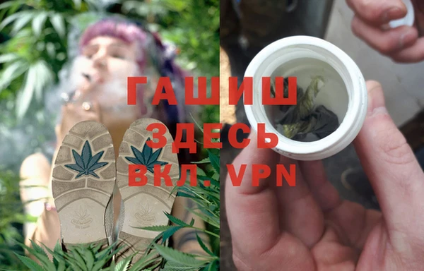 индика Инсар