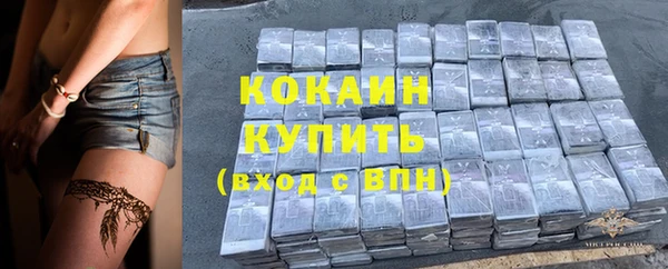 индика Инсар