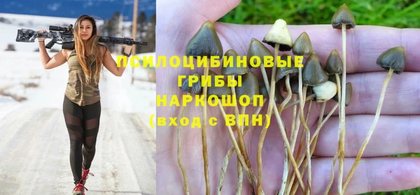 спиды Инта