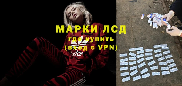 индика Инсар