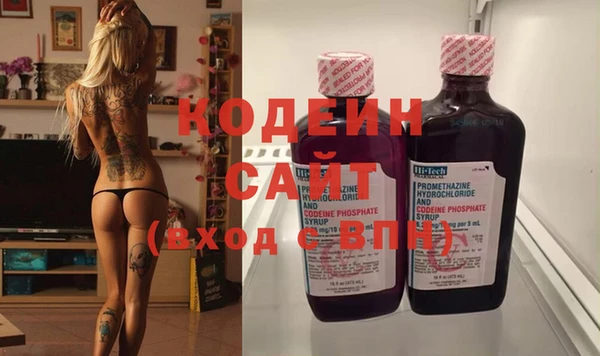 индика Инсар